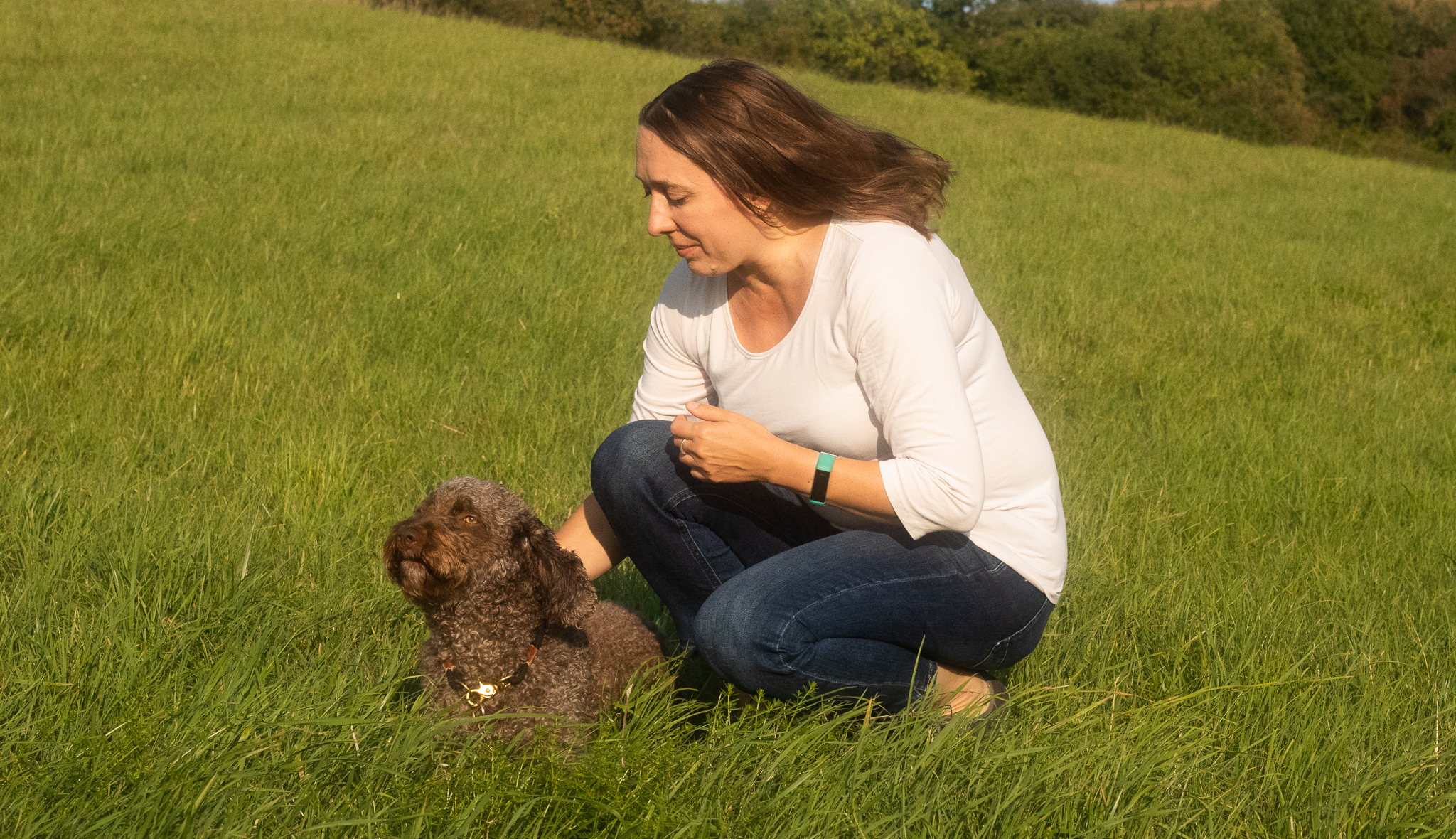 Du betrachtest gerade Wie wird ein Therapiehund ausgebildet? Tipps und Erfahrungen