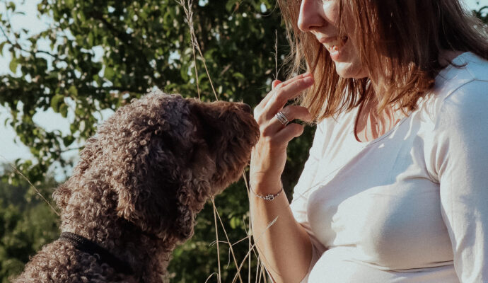 Tiergestützte Therapie